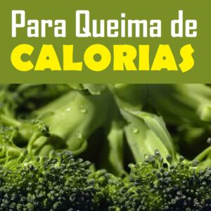Métodos Secretos Para Queima de Calorias