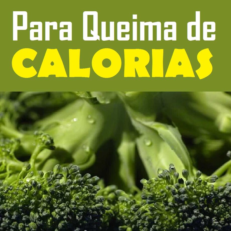 Métodos Secretos Para Queima de Calorias