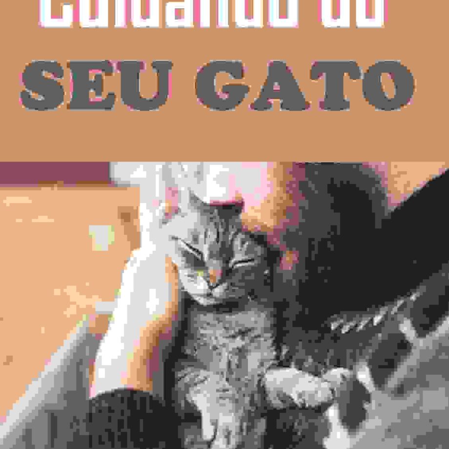 Ebook como treinar seu gato completo