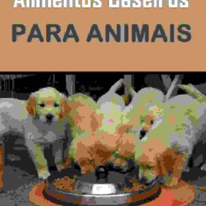 curso alimentos caseiros para animais