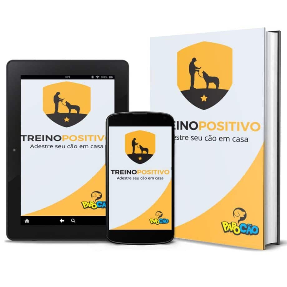 ADESTRAMENTO - TREINO POSITIVO 2.0