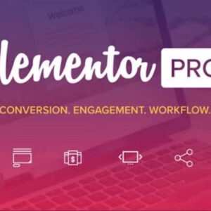 elementor pro